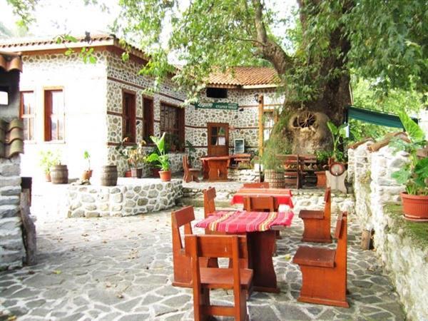 Комплекс Стария Чинар Melnik (Blagoevgrad) Exteriör bild