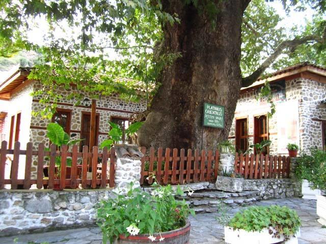 Комплекс Стария Чинар Melnik (Blagoevgrad) Exteriör bild
