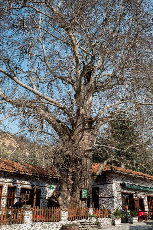 Комплекс Стария Чинар Melnik (Blagoevgrad) Exteriör bild