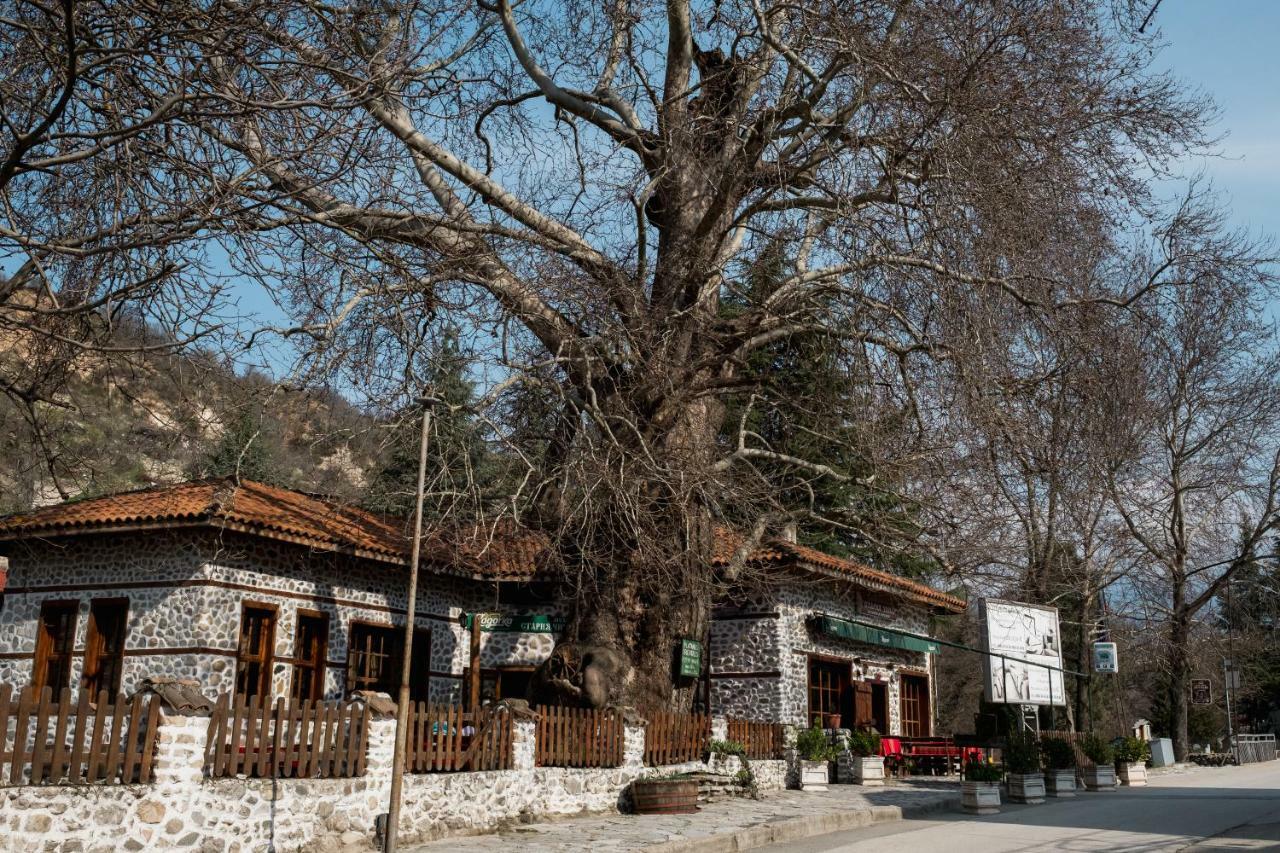 Комплекс Стария Чинар Melnik (Blagoevgrad) Exteriör bild